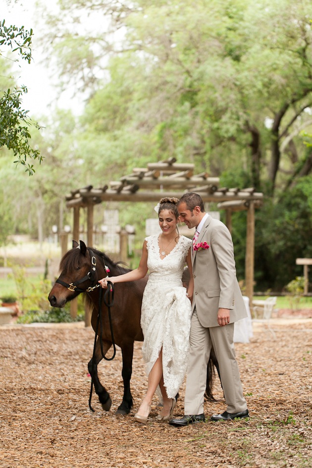 Bumby Photography, Harmony Gardens, A Chair Affair, Horse Wedding