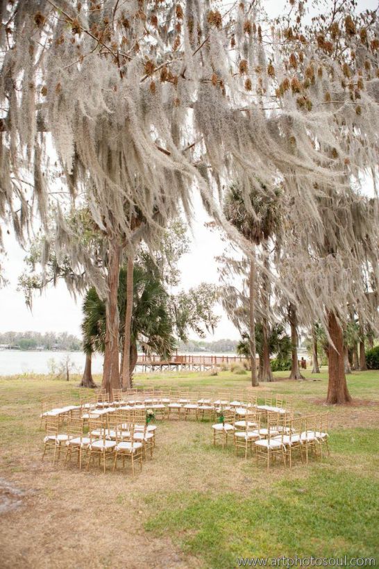 ArtPhotoSoul, Cypress Grove Estates 6