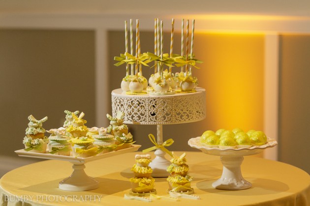 Dogwood Blossom Stationery, Bumby Photography, Ocoee Lakeshore Center, Dessert Buffet